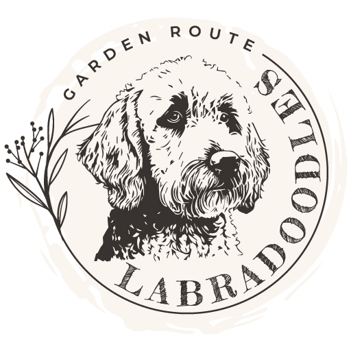 Garden Route Labradoodles